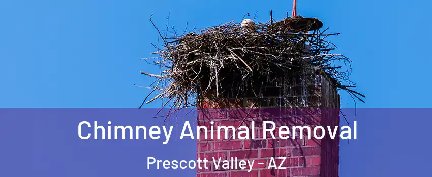 Chimney Animal Removal Prescott Valley - AZ