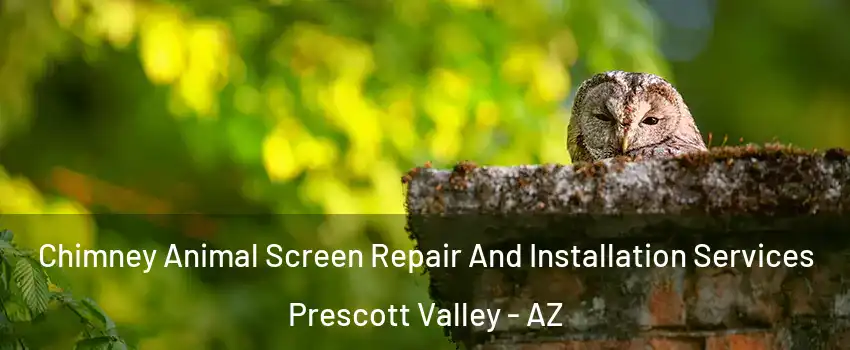  Chimney Animal Screen Repair And Installation Services Prescott Valley - AZ