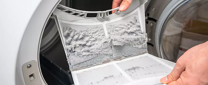 Best Dryer Lint Removal Company in Prescott Valley, Arizona