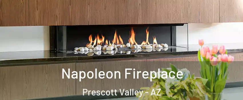  Napoleon Fireplace Prescott Valley - AZ